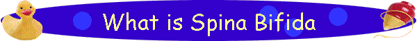 What is Spina Bifida