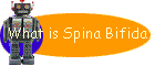 What is Spina Bifida